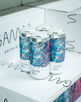 4-pack of Gamma Brewing's Big Doink double IPA with an abstract design, presented on top of a gamma shipping box
